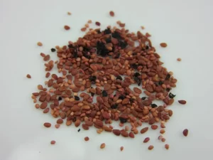 Blueberries Seeds