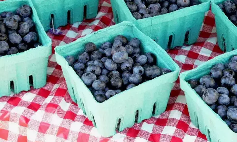 Blueberries