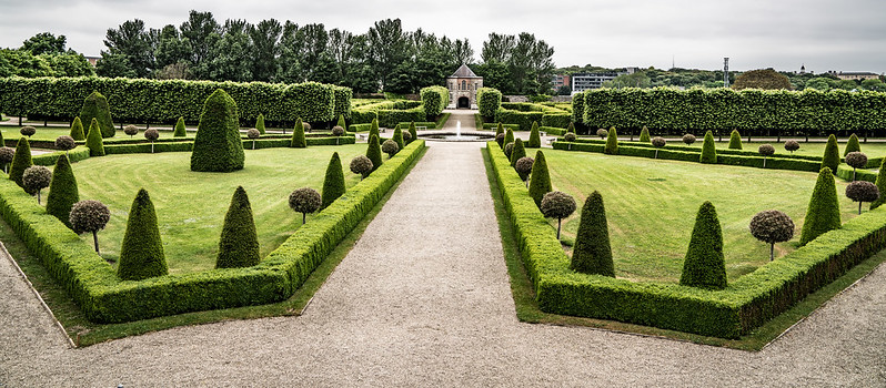 Rock Garden