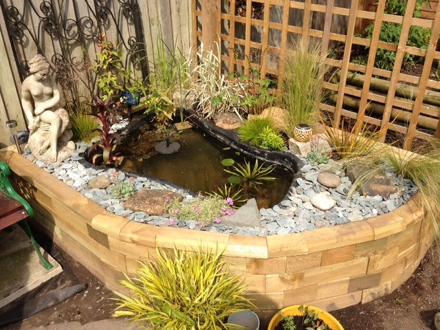 Build a Raised Garden Pond