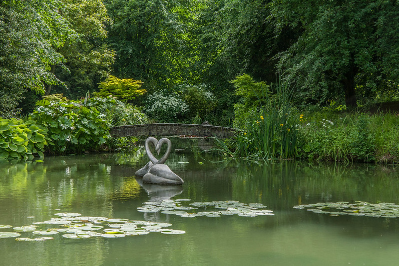 Building the Pond