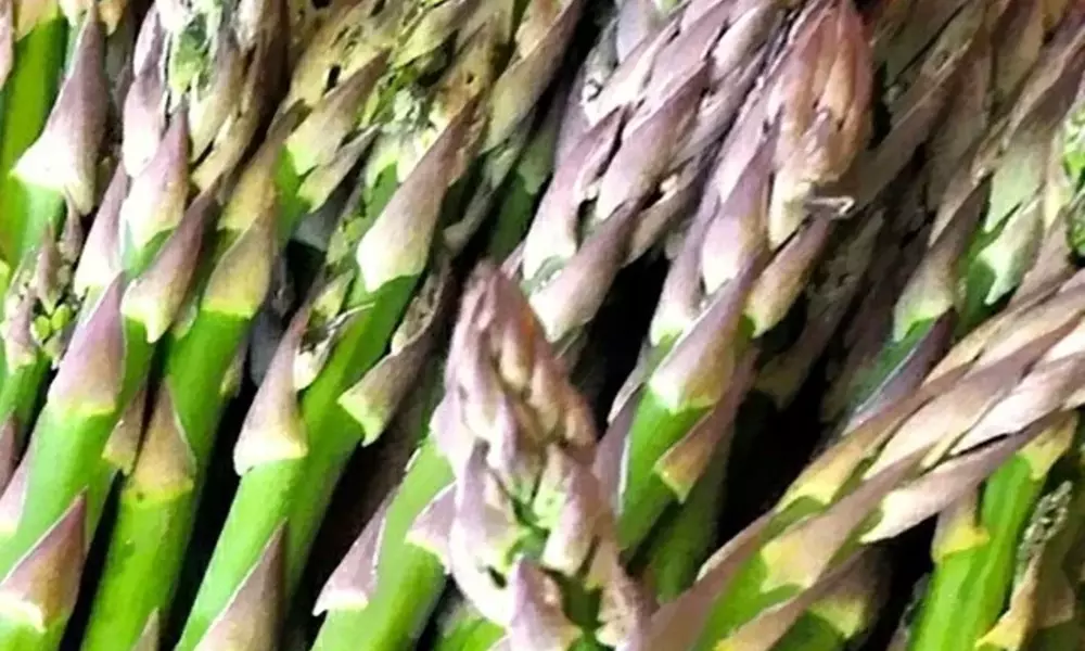 Asparagus