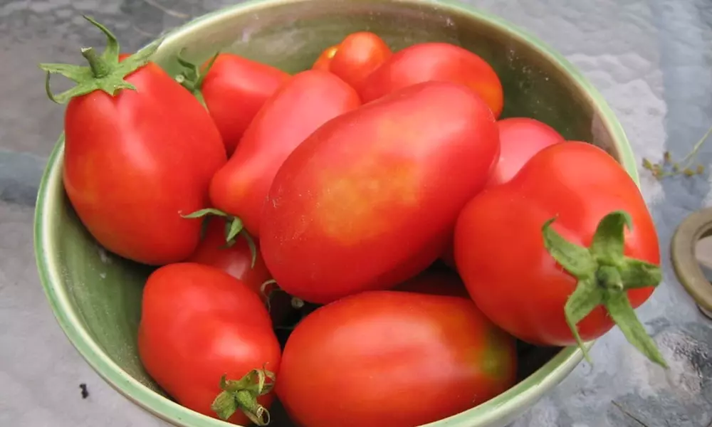 san marzano tomatoes