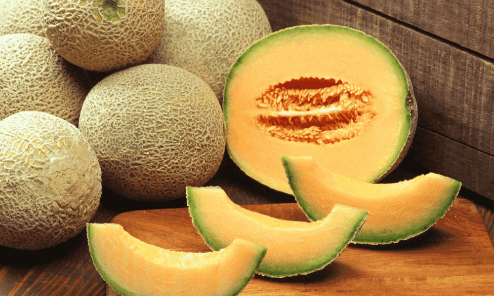 Cantaloupe Companion Plants